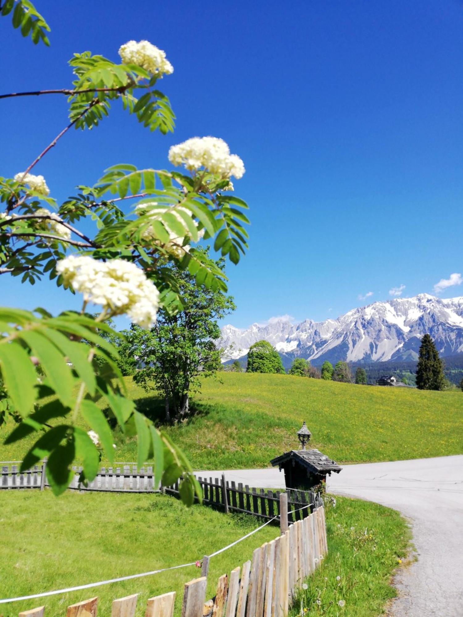 Pension Stammerhof Schladming Exterior photo